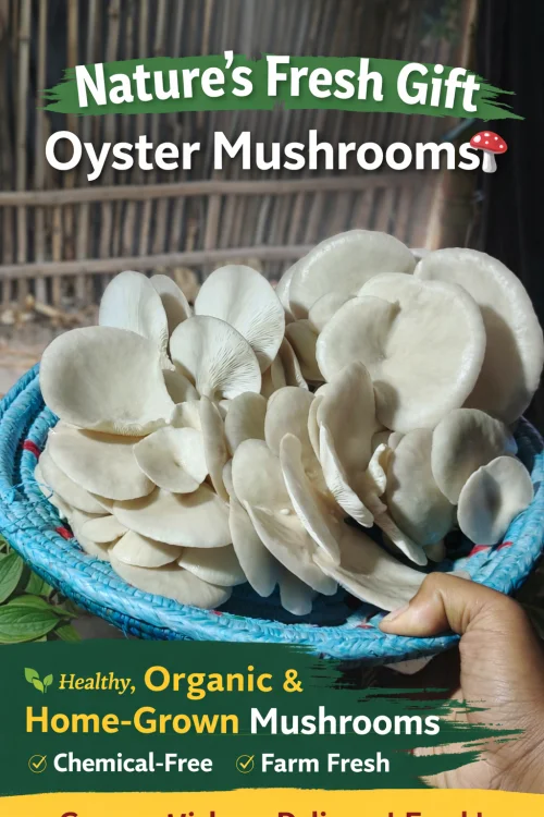 CHAMPARAN FARM2HOME MUSHROOM logo